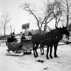 1939, Glázer Attila, galambdúc, szán, Fortepan #117808