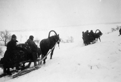 Oroszország, 1942, Gádoros Lajos, Szovjetunió, keleti front, ló, második világháború, Fortepan #11817