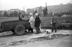 Magyarország, Budapest XI., a felvétel a Petőfi híd budai hídfője közelében a mai Magyar Szentek temploma környékén készült. Szemben az Irinyi József utca, jobbra a BME Münnich Ferenc Kollégiuma (később Kármán Tódor Kollégium), balra tőle a Karinthy Frigyes út torkolata., 1971, Fortepan/Album013, Budapest, kutyasétáltatás, utánfutó, Fortepan #118195