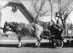 Magyarország, Budapest XII.,Budapest II., Városmajor utca 71., ma a Városmajori Gimnázium áll ezen a helyen. Háttérben a Szilágyi Erzsébet (Malinovszkij) fasor házai látszanak., 1958, Lovász János és Márton, Budapest, pihenés, alvás, kocsis, lovaskocsi, Fortepan #118214