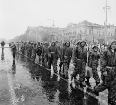 Magyarország, Budapest VII.,Budapest XIV., Ötvenhatosok tere (Felvonulási tér), május 1- i felvonulás., 1979, MHSZ, álcázás, Budapest, Fortepan #118283