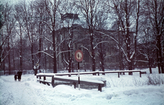 Magyarország, Budapest II., Riadó utca a Hűvösvölgyi (Hidegkúti) út felé nézve. Szemben a Tárogató út 2-4., a Budapesti Kereskedők Menháza., 1942, Széman György, színes, Budapest, Fortepan #118638