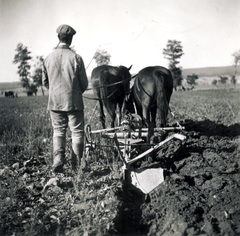 1938, Uj Nemzedék napilap, coach, tillage, Fortepan #118679