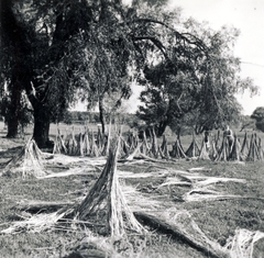 1938, Uj Nemzedék napilap, hemp processing, Fortepan #118702