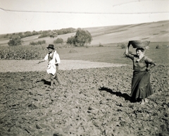 1938, Uj Nemzedék napilap, sowing, Fortepan #118715