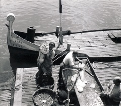 Magyarország, Budapest V., a pesti alsó rakpart a Szabadság híd (Ferenc József) közelében, a haltároló bárkáknál., 1937, Uj Nemzedék napilap, halászat, kosár, fonott áru, hal, haltároló bárkák, Budapest, harcsa, merítőháló, Fortepan #118829