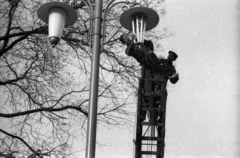 Hungary, Budapest V., Erzsébet (Engels) tér., 1957, FSZEK Budapest Gyűjtemény / Sándor György, Sándor György, ladder, lamp post, Budapest, Fortepan #119009