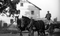 Lengyelország, 1943, Bogdan Celichowski, Fortepan #119391