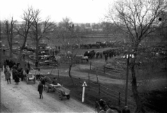 Lengyelország, 1943, Bogdan Celichowski, Fortepan #119401