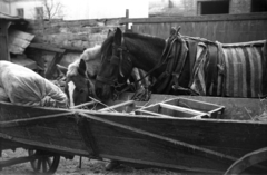 Lengyelország, 1943, Bogdan Celichowski, Fortepan #119469