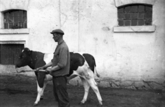 Lengyelország, 1943, Bogdan Celichowski, Fortepan #119575