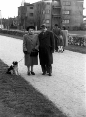 Poland, 1949, Bogdan Celichowski, lady, gentleman, dog, walkway, man and woman, Fortepan #119682