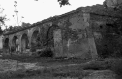 Poland, 1947, Bogdan Celichowski, brick wall, ruins, boarded window, sapling, Fortepan #119869