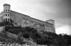 Poland, Szczecin, a Pomerániai Hercegség Vára., 1947, Bogdan Celichowski, monument, hillside, Fortepan #119901