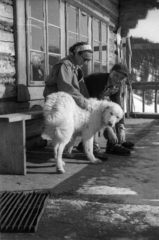 Lengyelország,Lengyel Magas-Tátra, Konrád-menedékház (Schronisko na Kondratowej Hali)., 1947, Bogdan Celichowski, kutya, menedékház, Tátra hegység, ajtórács, Bogdan Laszczka-terv, Fortepan #119941