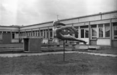 Lengyelország, Poznań, az Orvosi Egyetem (Uniwersytet Medyczny im. Karola Marcinkowskiego) Pszichiátria Klinikája., 1968, Bogdan Celichowski, Fortepan #119965