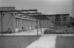 Poland, Poznań, Lengyelország, Poznan, az Orvosi Egyetem (Uniwersytet Medyczny im. Karola Marcinkowskiego) Pszichiátria Klinikája. Szemben az ulica Szamotulska-i lakótelep., 1972, Bogdan Celichowski, Fortepan #119978