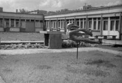 Poland, Poznań, az Orvosi Egyetem (Uniwersytet Medyczny im. Karola Marcinkowskiego) Pszichiátria Klinikája. Háttérben az ulica Bukowska és az ulica Swit közötti lakótelep., 1972, Bogdan Celichowski, Fortepan #119980