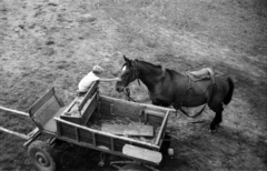 Lengyelország, 1969, Bogdan Celichowski, Fortepan #120218