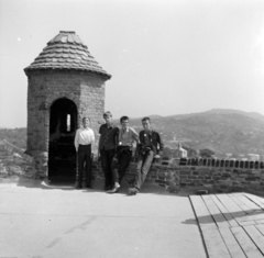 Magyarország, Esztergom, Vár, háttérben a Szent Tamás-hegyen a Fájdalmas Szűz kápolna., 1967, Dienes Balázs, Fortepan #120269