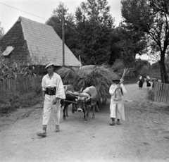 1939, Dienes Balázs, népviselet, ökörfogat, Fortepan #120285