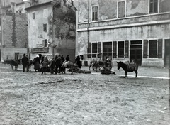 Horvátország, Rovinj, ulica Pietra Ive., 1913, Hanser Mária, utcakép, fa, szamár, férfi, épület, homok, szállítás, Fortepan #120363