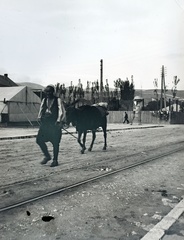 Bosznia-Hercegovina, Szarajevó, 1915, Hanser Mária, Fortepan #120427