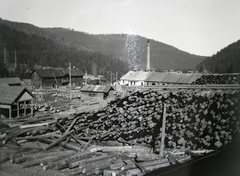 1917, Hanser Mária, wood extraction, Fortepan #120443