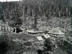 1917, Hanser Mária, wood extraction, Fortepan #120444