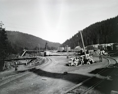 1917, Hanser Mária, wood extraction, Fortepan #120447