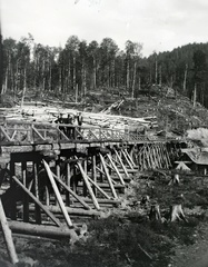 1917, Hanser Mária, wood extraction, wooden bridge, Fortepan #120453