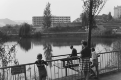 Magyarország, Budapest XI., Feneketlen-tó, háttérben a Tas vezér utca - Villányi út sarkán épülő lakóház., 1961, Inkey Tibor, életkép, Budapest, Fortepan #120780