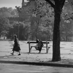 Magyarország, Városliget, Budapest XIV., Kós Károly sétány (Városligeti Népköztársaság útja), háttérben a Vajdahunyad vára., 1960, Inkey Tibor, Budapest, pad, pihenés, Fortepan #120783