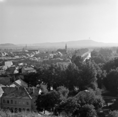 Hungary, Esztergom, kilátás a várból, szemben a Szent Péter és Pál-templom és a Kis-Duna., 1957, Inkey Tibor, picture, roof, photo aspect ratio: square, Fortepan #120857