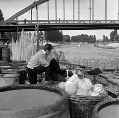 Magyarország, Győr, a Mosoni-Duna és a Rába összefolyása a Kossuth híd alól nézve. A felvétel Az aranyfej című film forgatásakor készült., 1963, Inkey Tibor, Fortepan #120867