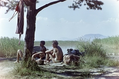 Magyarország,Balaton, Balaton-part Alsóbélatelep környékén. A budapesti Eötvös Gimnázium balatonfenyvesi táborának lakói., 1961, Inkey Tibor, színes, kártyajáték, vízpart, nádas, Fortepan #120882