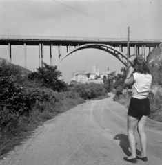 Magyarország, Veszprém, Kittenberger Kálmán (Gépház) utca a Szent István völgyhíd (Viadukt) és a Vár felé nézve., 1960, Inkey Tibor, fotózás, Fortepan #120899