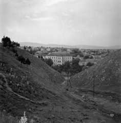 Magyarország, Veszprém, a Davidukim épülete a Viadukt irányából nézve., 1960, Inkey Tibor, látkép, Fortepan #120905