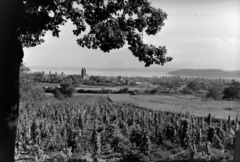 Magyarország, Balatonfüred, a Tölgyfa csárdától a Pacsirta utcáig vezető ösvény, háttérben balra a Krisztus Király-templom (Vörös templom), jobbra a Tihanyi-félsziget., 1961, Inkey Tibor, Fortepan #120981