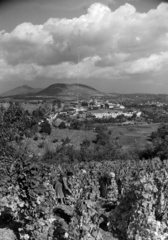 Magyarország, Eger, Szépasszony-völgy, kilátás a város felé. Előtérben a pincesor, távolabb a városközpont, háttérben a Nagy-Eged., 1961, Inkey Tibor, Fortepan #120984