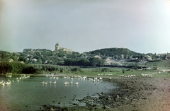 Magyarország,Balaton, Tihany, Belső-tó, szemben a Bencés Apátság., 1961, Inkey Tibor, színes, Fortepan #120998