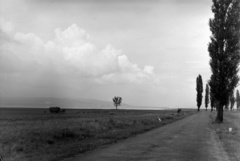 Magyarország, Balatonberény, a község felé vezető főút, szemben a Vonyarcvashegy és Balatongyörök közötti hegyvonulat., 1955, Inkey Tibor, országút, Fortepan #121034