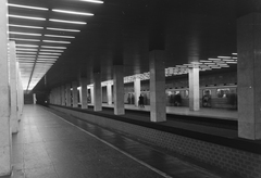 Magyarország, Budapest XIV., a metró Népstadion (később Puskás Ferenc Stadion) állomása., 1973, UVATERV, Budapest, Fortepan #121105