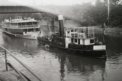 Magyarország, Óbuda, Budapest III., Óbudai Hajógyár, Hajógyári-öböl, háttérben az Árpád (Sztálin) híd., 1951, Magyar Műszaki és Közlekedési Múzeum / Történeti Fényképek Gyűjteménye / Óbudai Hajógyár gyűjteménye, Budapest, Rába/Tomaj-hajó, Fortepan #122364