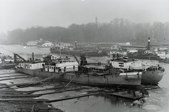 Magyarország, »MFTR BUDA (1937) áruszállító csavaros motorhajó (paklishajó), DTRT SZEGED (1936) és úszó csónakházak az Újpesti öbölben.« Leltári jelzet: MMKM TFGY 2017.1.264., 1938, Magyar Műszaki és Közlekedési Múzeum / Történeti Fényképek Gyűjteménye / Ganz gyűjtemény, Fortepan #122634