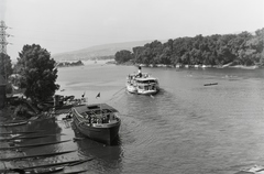 Magyarország, »SINDA (Societa Italiana di Navigazione Danubiana) PIEMONTE (1941)  vontató csavaros motorhajó vízrebocsájtása, háttérben a MFTR ZSÓFIA (1914) sétahajó.« Leltári jelzet: MMKM TFGY 2017.1.551., 1941, Magyar Műszaki és Közlekedési Múzeum / Történeti Fényképek Gyűjteménye / Ganz gyűjtemény, Fortepan #122782