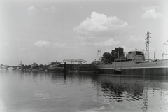 Magyarország, »MAGYAR VITÉZ (1942) mögötte a MAGYAR TENGERÉSZ (1942) közöttük feltehetően a DTRT KOMÁROM (1944) és a SZOLNOK (később MANICS, 1947) tengerjáró áruszállító csavaros motorhajók építése.« Leltári jelzet: MMKM TFGY 2017.1.877., 1943, Magyar Műszaki és Közlekedési Múzeum / Történeti Fényképek Gyűjteménye / Ganz gyűjtemény, Fortepan #122913