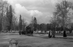 Magyarország, Budapest X., Új Köztemető., 1951, Hámori Gyula, Budapest, temetés, temető, Fortepan #123289