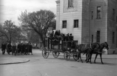 Magyarország, Budapest X., Új Köztemető., 1951, Hámori Gyula, Budapest, ló, temetés, halottaskocsi, Fortepan #123290