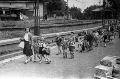 Magyarország, Budapest XII., Karthauzi utca, háttérben a Fogaskerekű Svábhegy megállója., 1951, Hámori Gyula, gyerekek, Budapest, kézenfogva, séta, Fortepan #123291